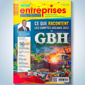 EXCLUSIF : Les Comptes 2023 de GBH Dévoilés ! | Analyse Complète Inter-entreprises N°205